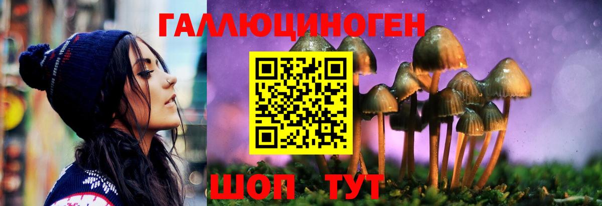 Чапаевск  Псилоцибиновые грибы GOLDEN TEACHER  цены наркотик  Вход с VPN 